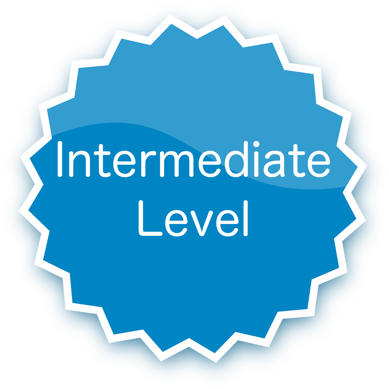 Pre intermediate level